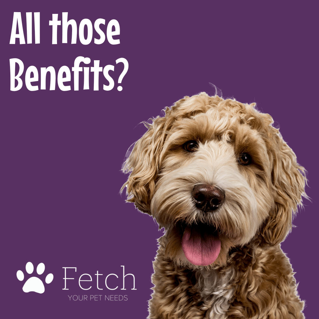 Benefits of Raw Dog Food for Dogs