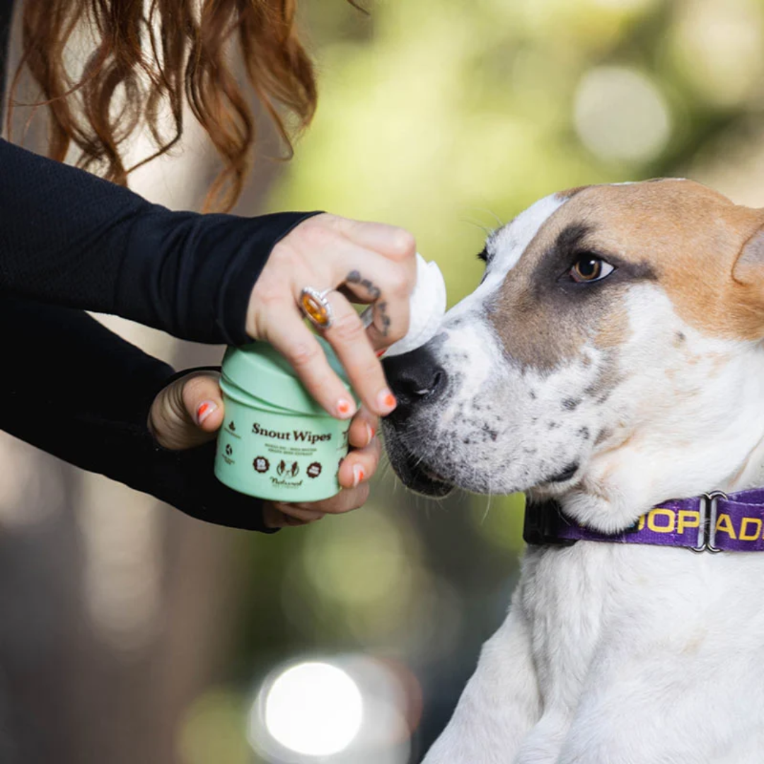 Natural Dog Company Snout Soother Wipes