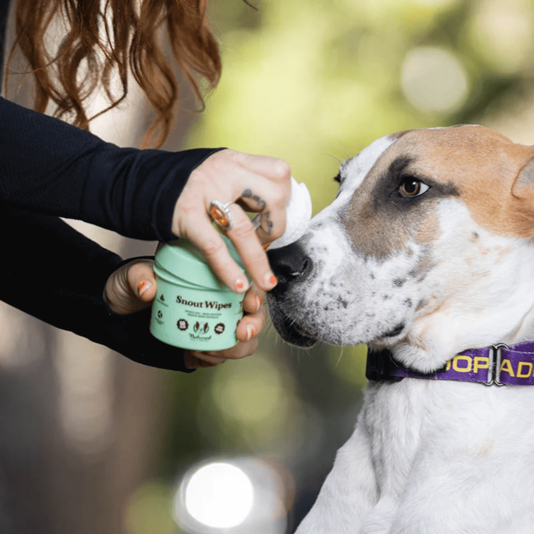 Natural Dog Company Snout Soother Wipes