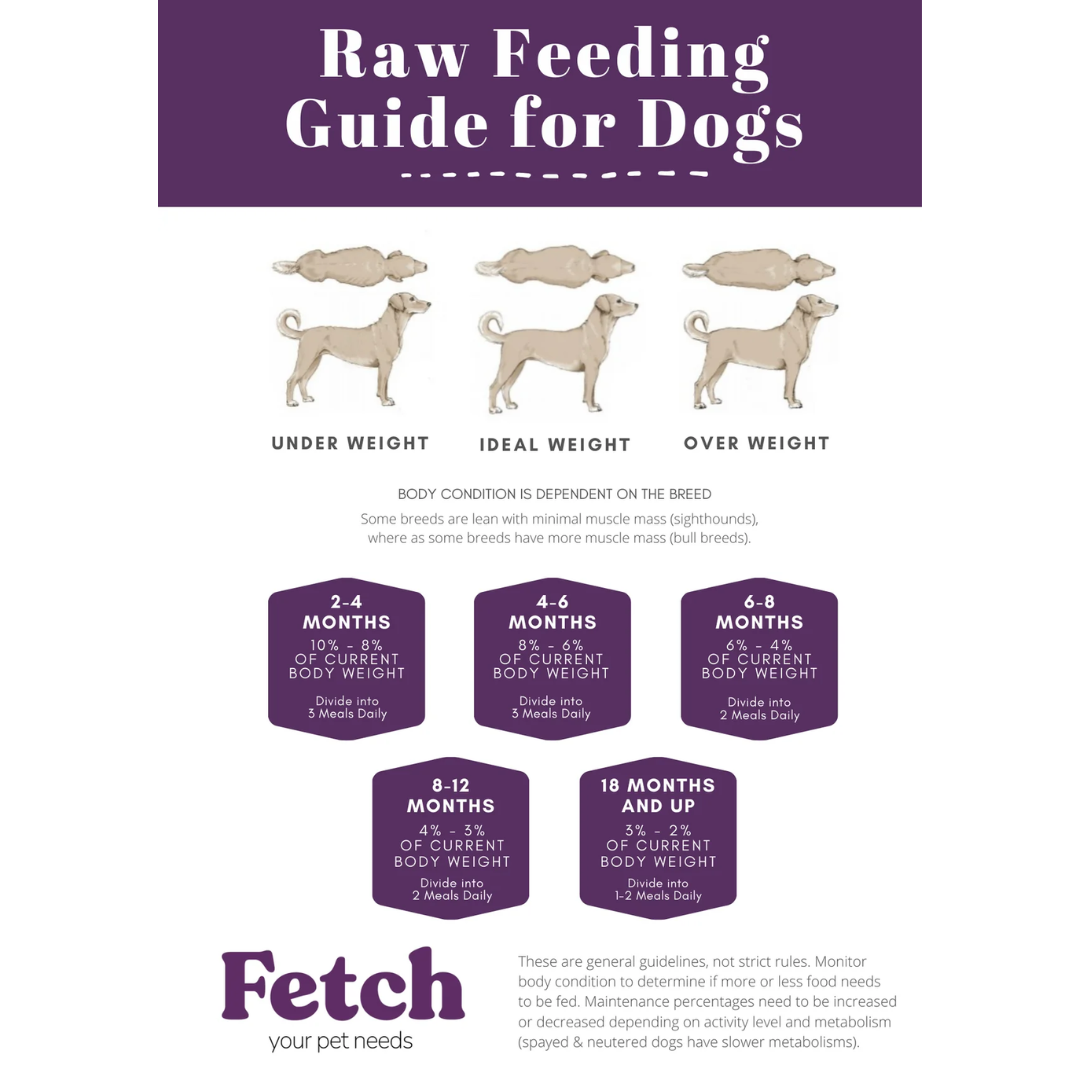 Raw Necessity Duck 80:10:10