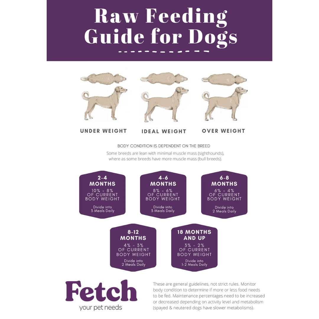 Raw Necessity Duck 80:10:10