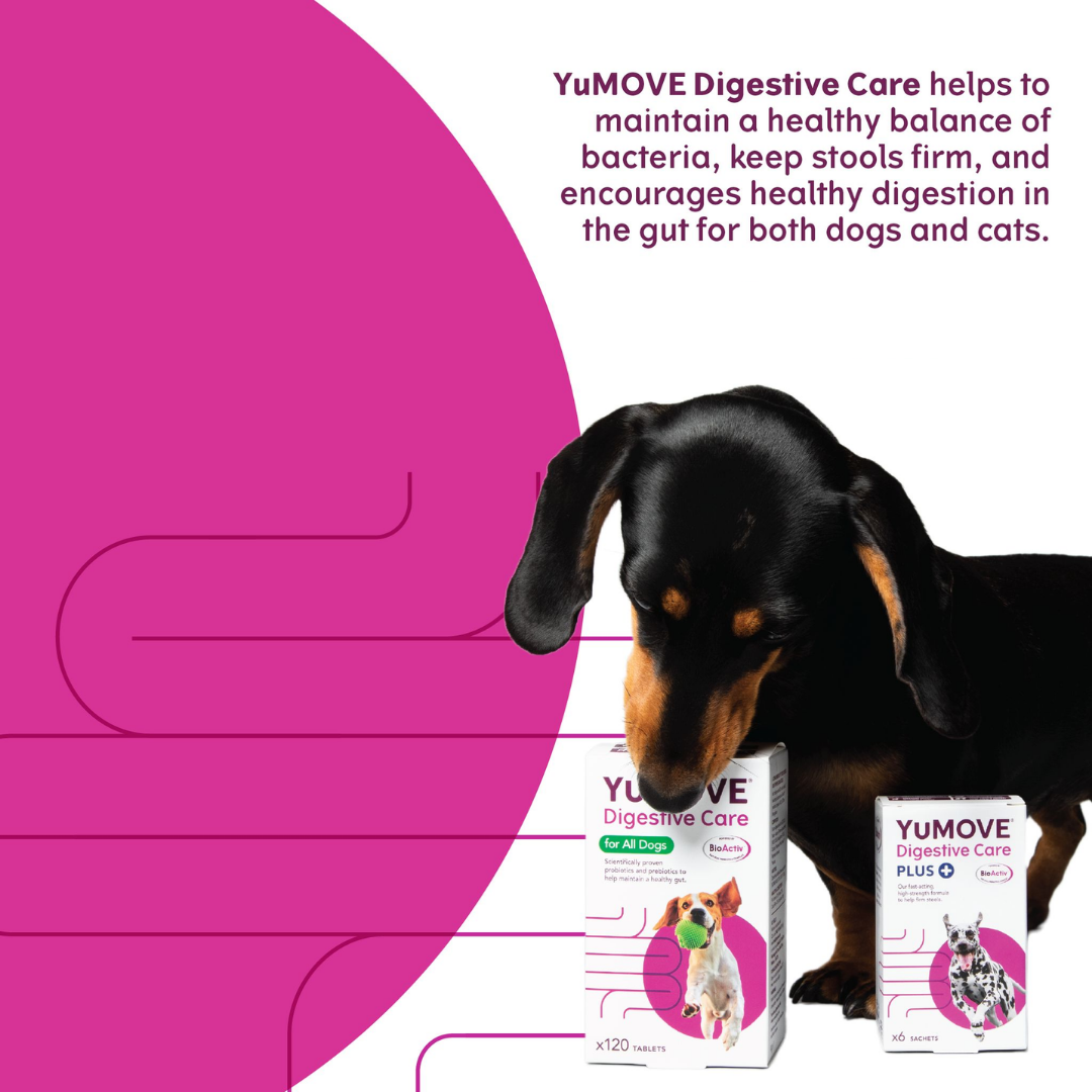 YuMove Digestive Care PLUS Sachets