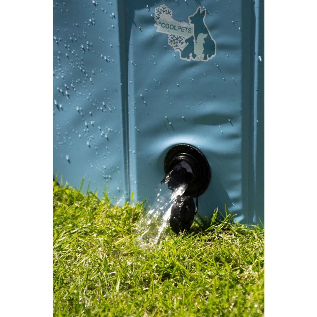 Paddling Pool for Dogs