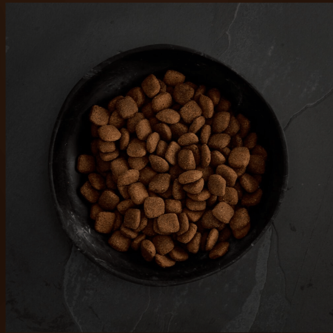 Canagan Grass Fed Lamb Dog Food