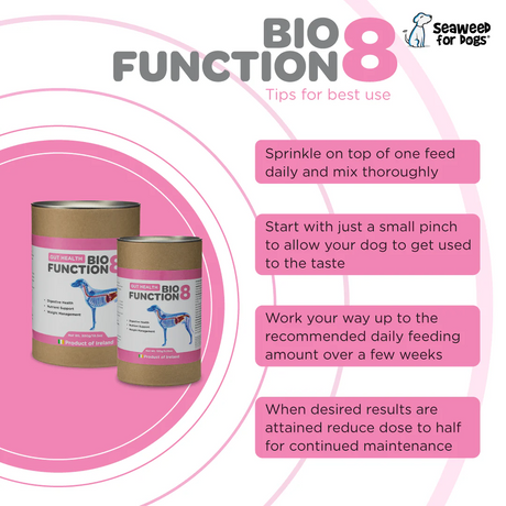 Biofunction8 Gut Soother Blend