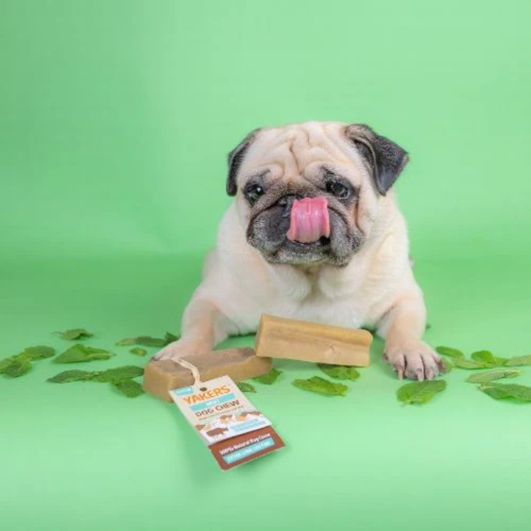 Yakers Mint Himalayan Yak Chew