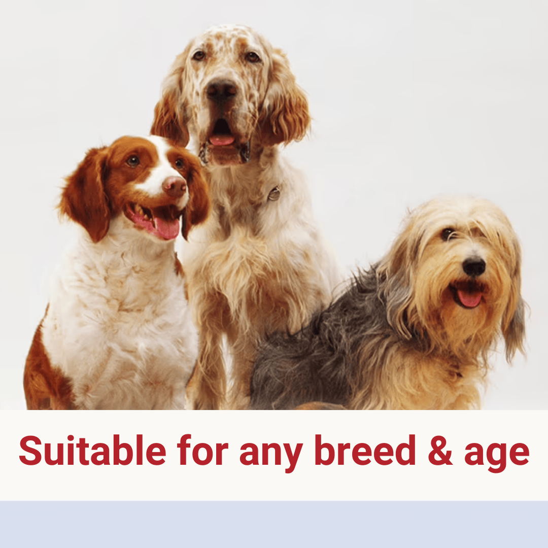 Glucosamine, Chondroitin and MSM is suitable for any breed and age.