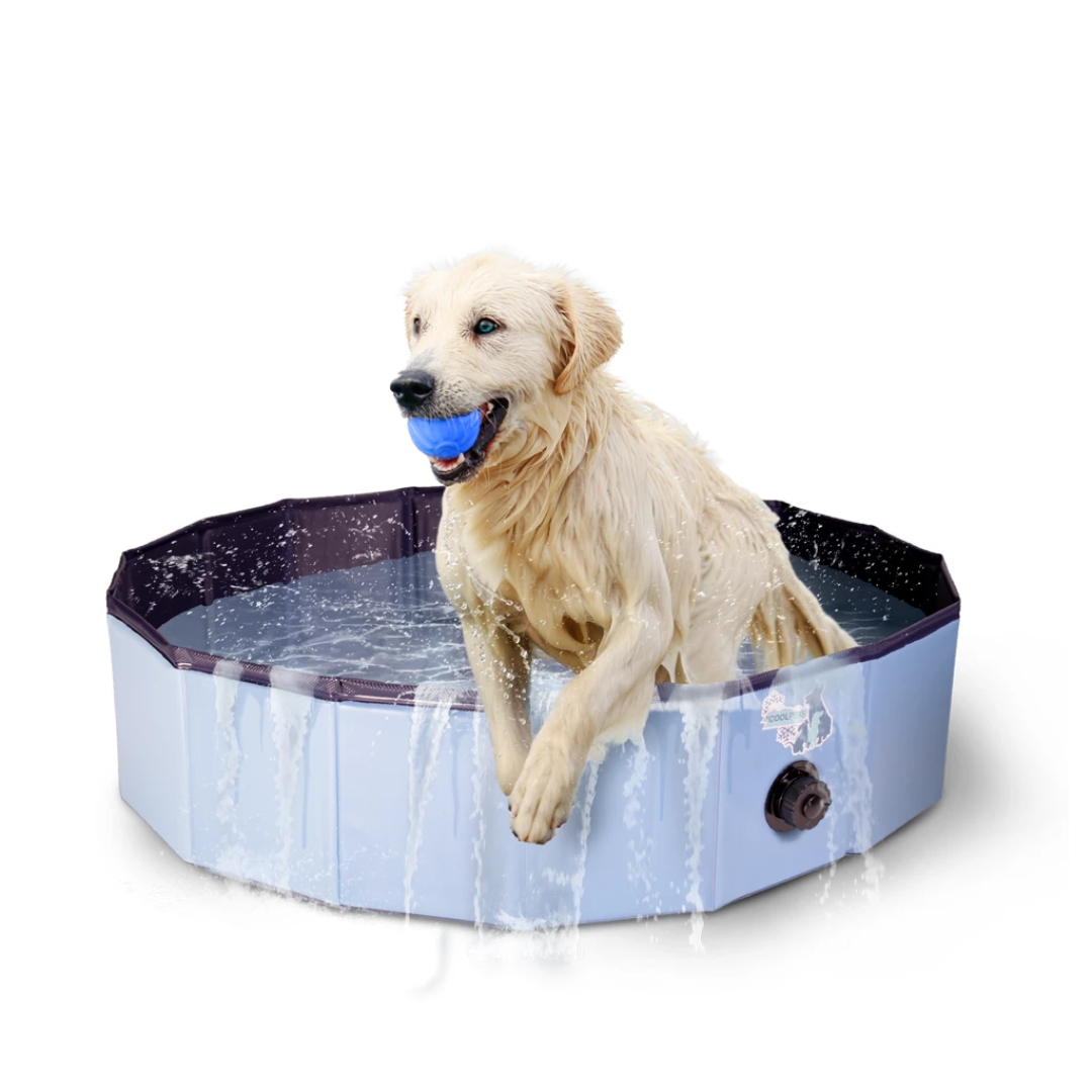 Paddling Pool for Dogs