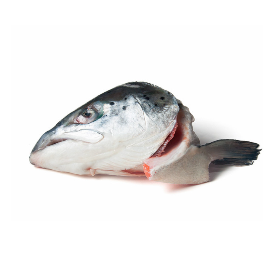 KB Raw Salmon Head