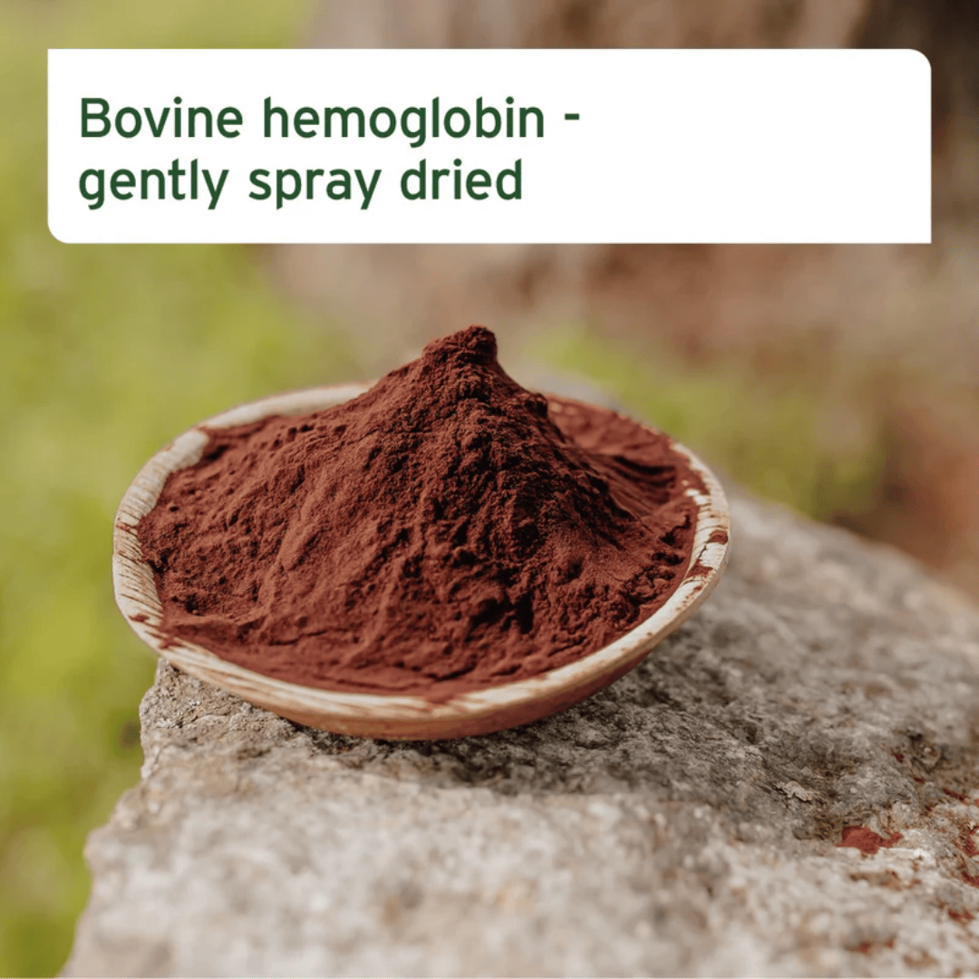 This infographic shows the product in a bowl. The bowl is placed on a rock outside. The poster states the Aniforte Bovine Blood Powder 250g is gently spray dried.