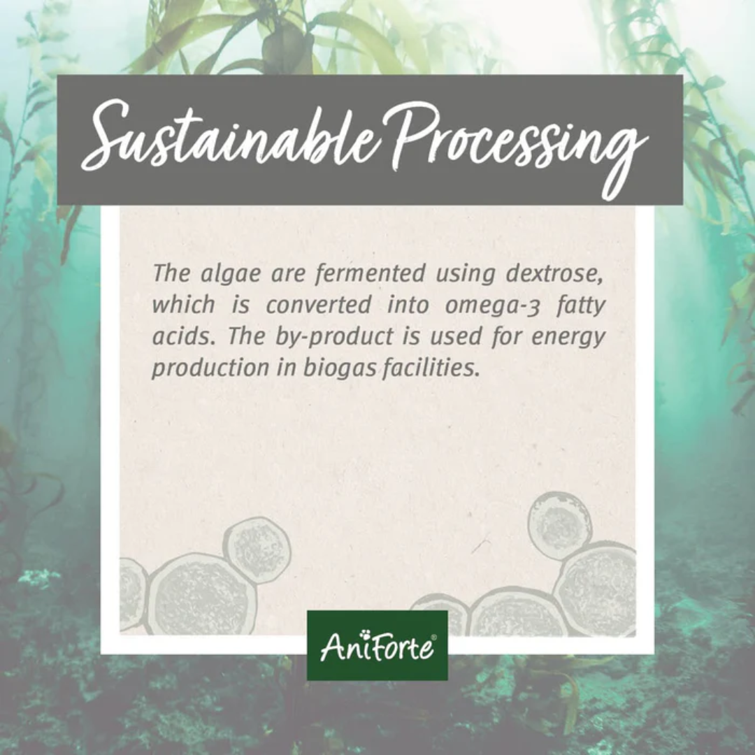 Sustainable processing.