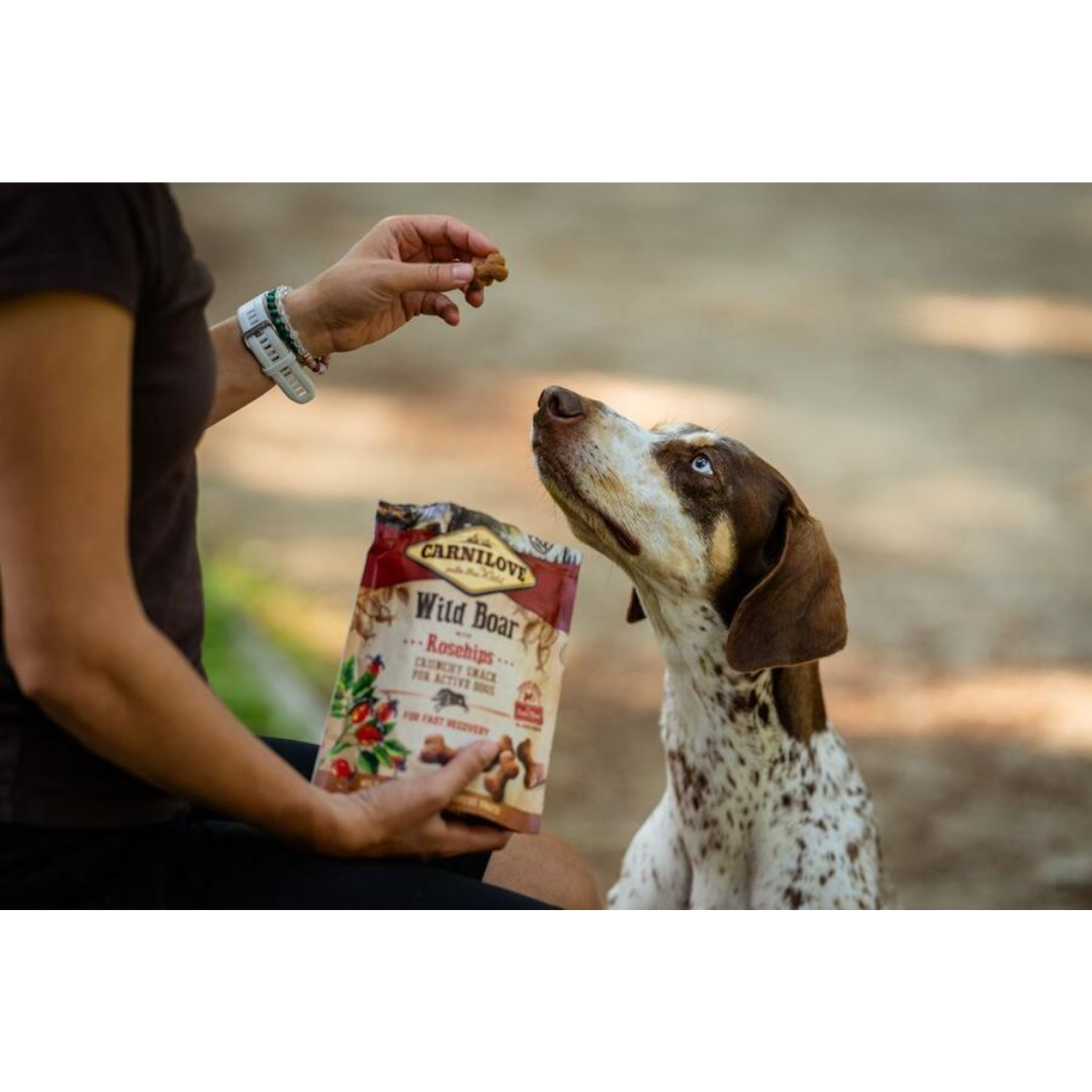 Carnilove Wild Boar with Rosehips Treats
