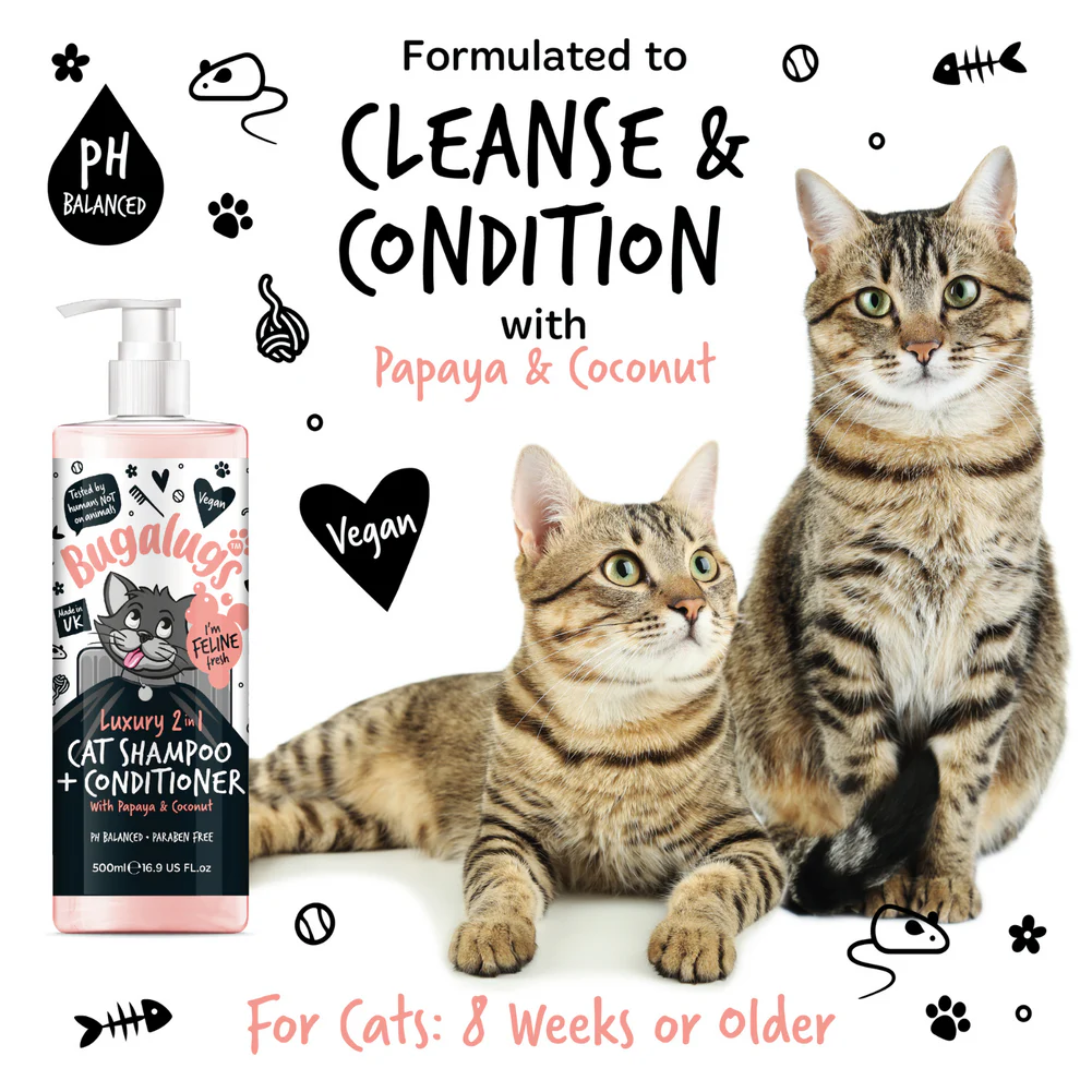 There are two cats and a bottle of Bugalugs 2 in 1 Cat Shampoo & Conditioner. Stating that cats 8 weeks and on