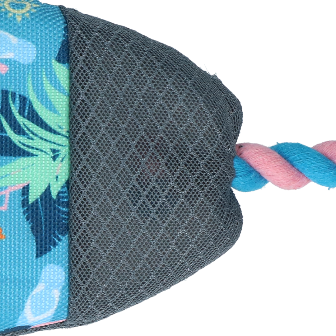 Surf's Up - by CoolPets