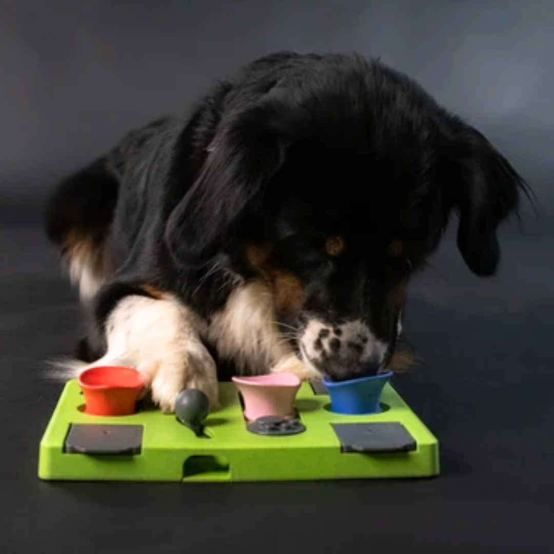 Puzzle Rectangle | Eat Slow Live Longer