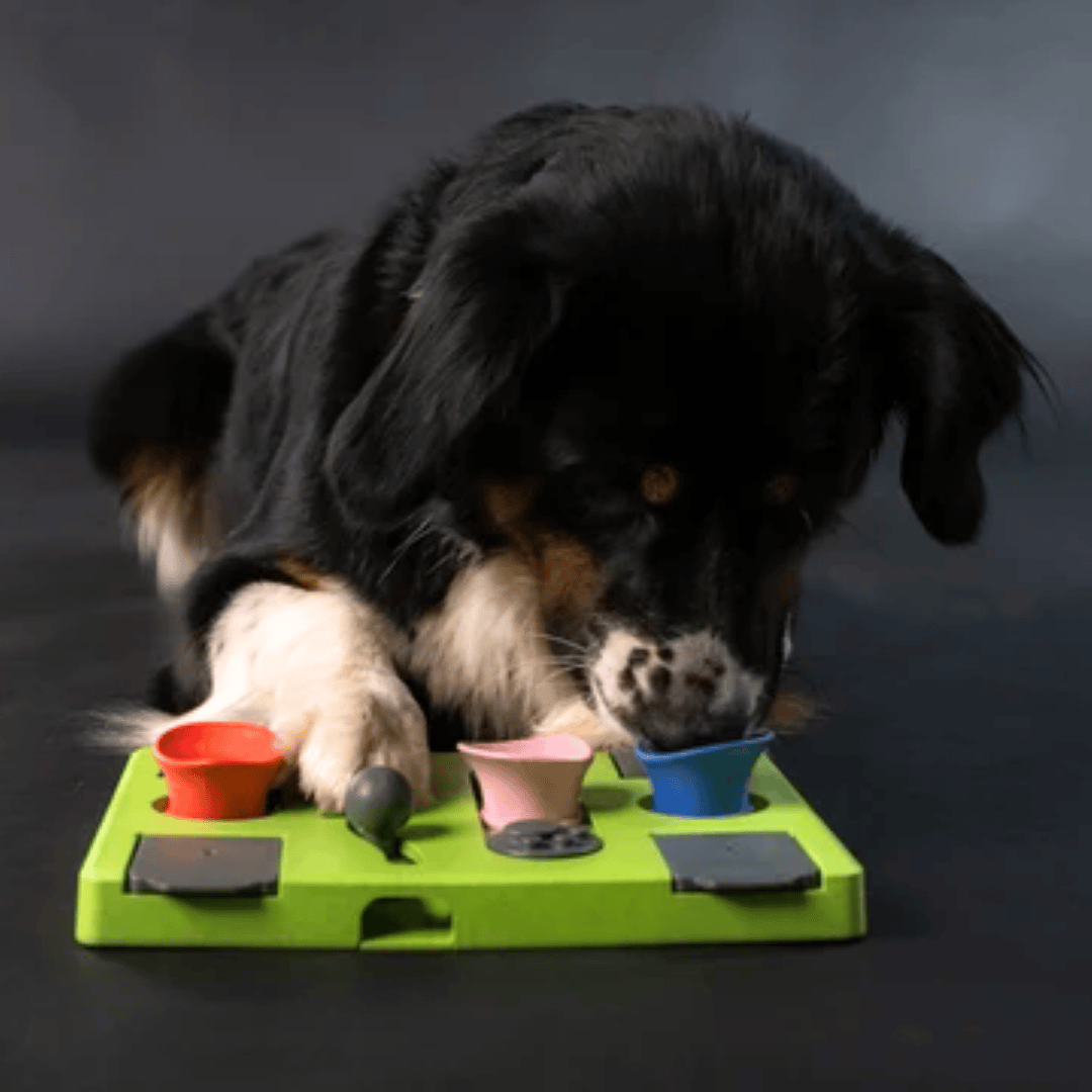 Puzzle Rectangle | Eat Slow Live Longer