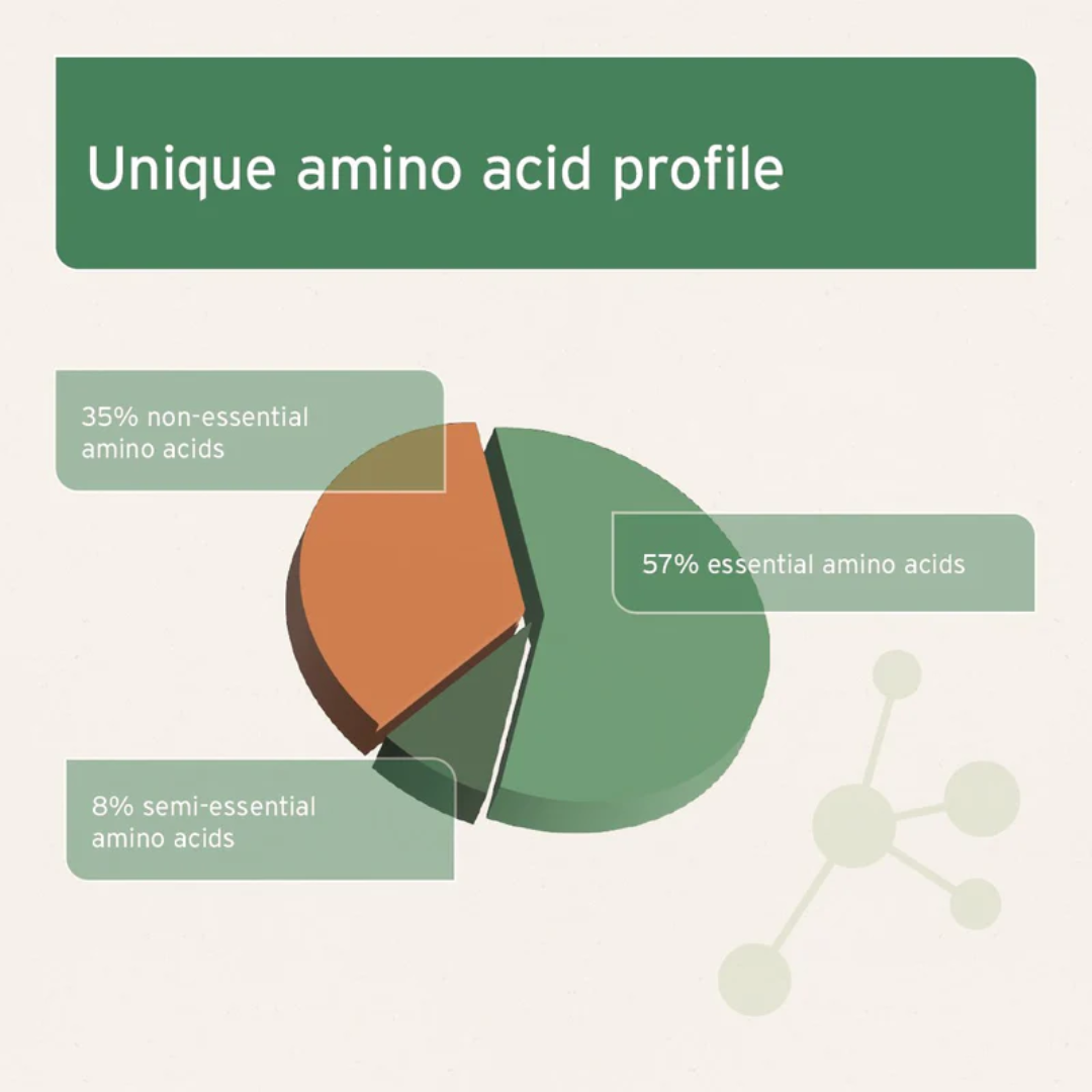 An infographic from Aniforte explaining the different types of amino acids in a pie chart. This s the Amino Acid Profile of the Aniforte Bovine Blood Powder 250g.