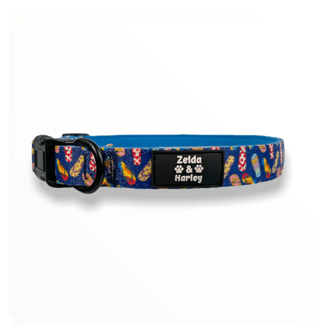 Zelda and Harley Blue Sole Mates Collar