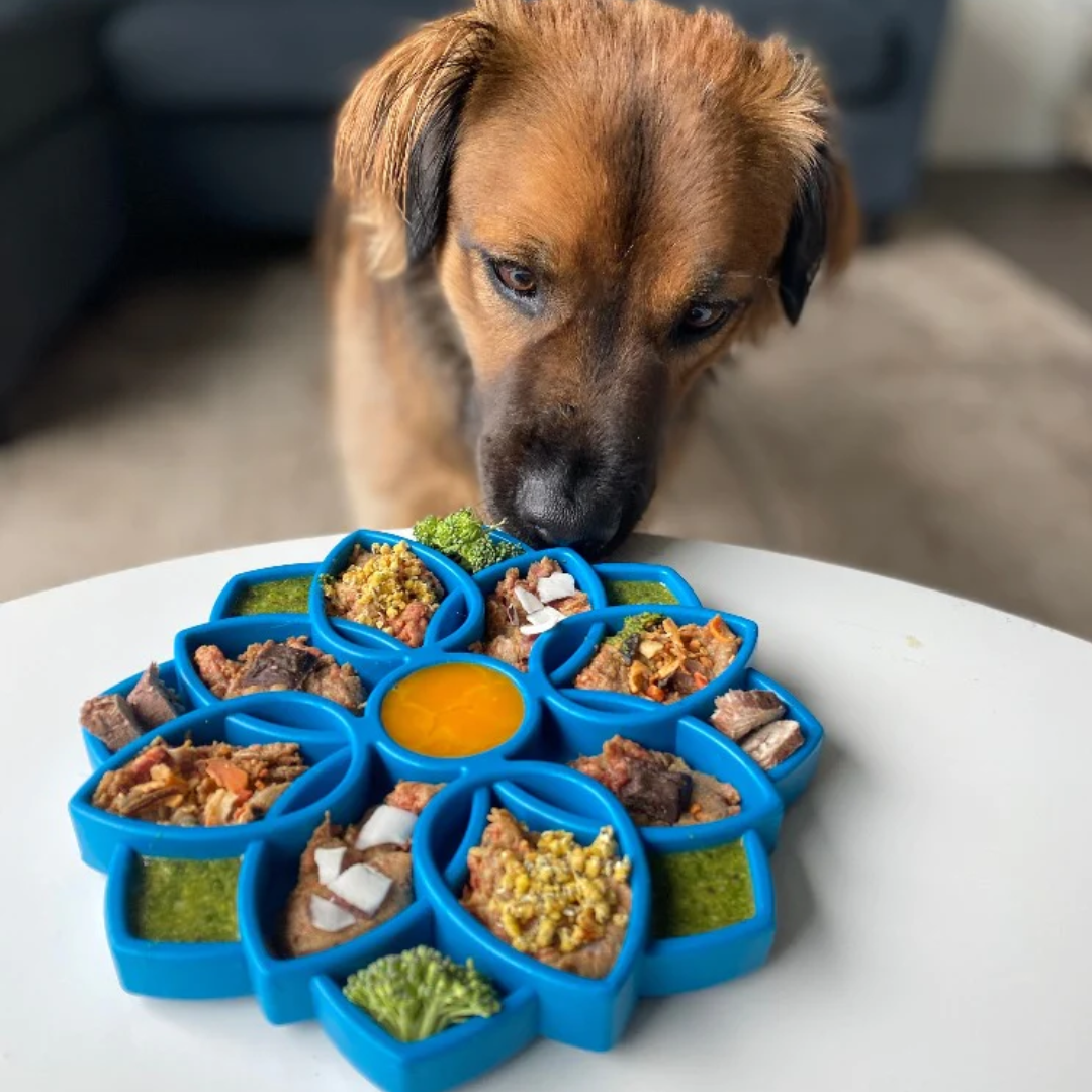 SodaPup Mandala Enrichment Tray