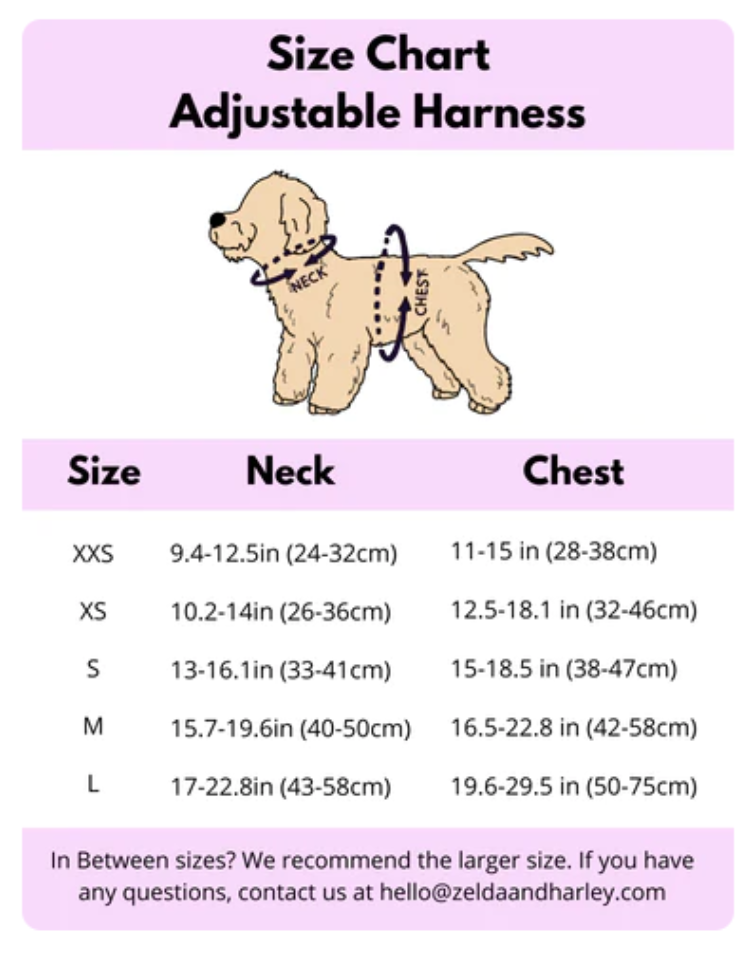 Zelda and Harley Yellow Club Pupicana Harness