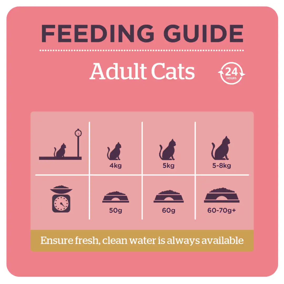 The Feeding guidelines for the  Burgess Adult Chicken & Duck Cat Food.