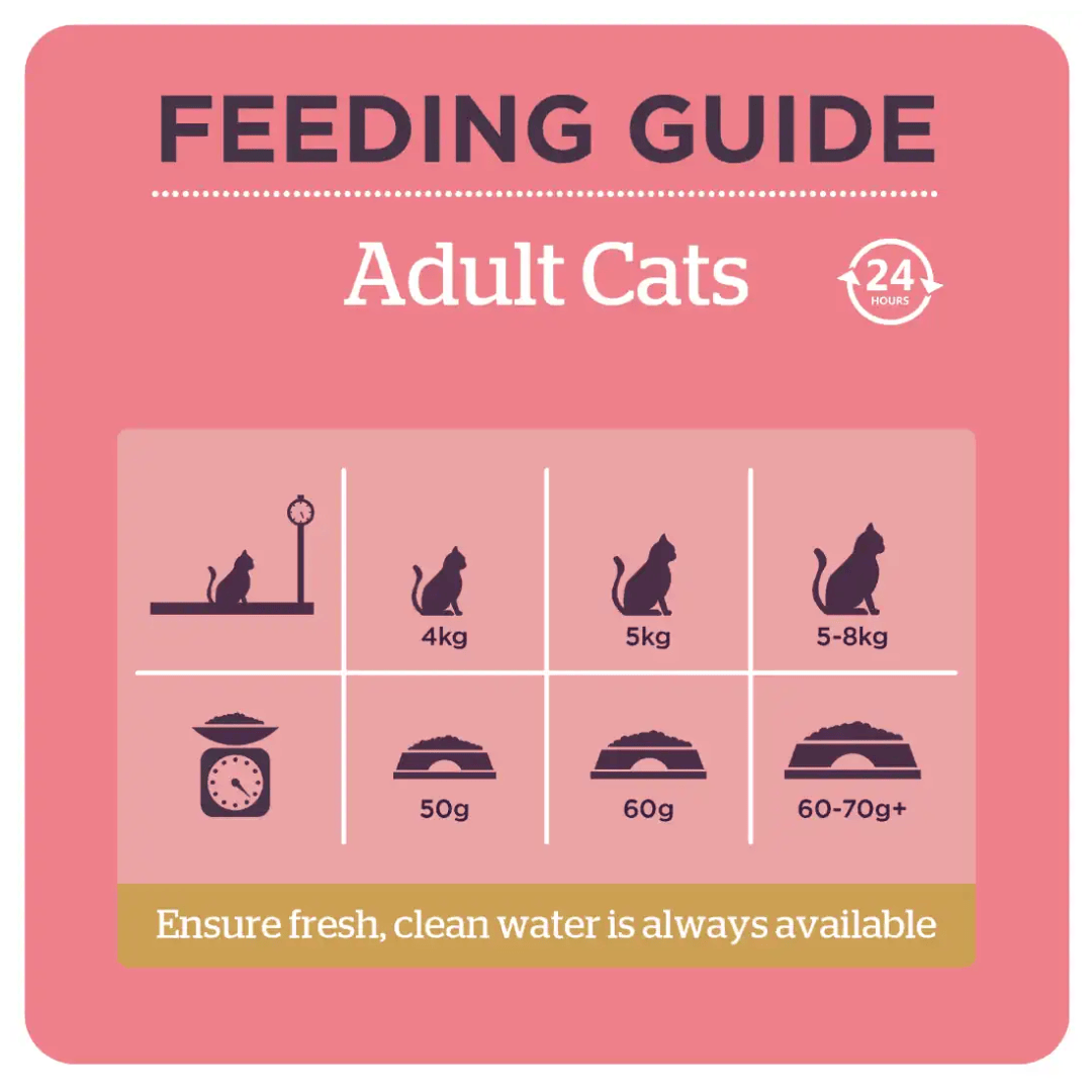The Feeding guidelines for the Burgess Adult Chicken & Duck Cat Food.