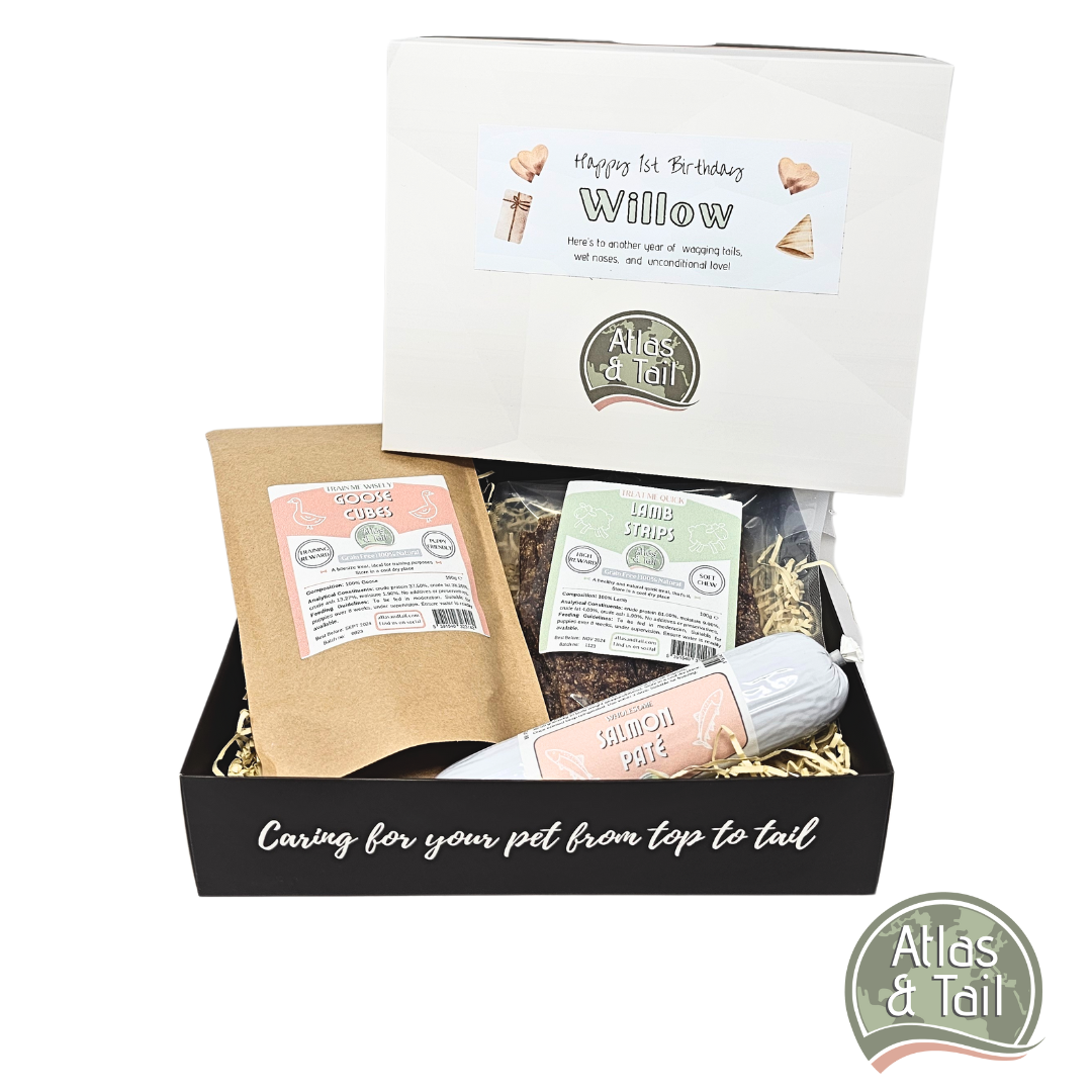 Atlas and Tail Birthday Treat Box for Dogs