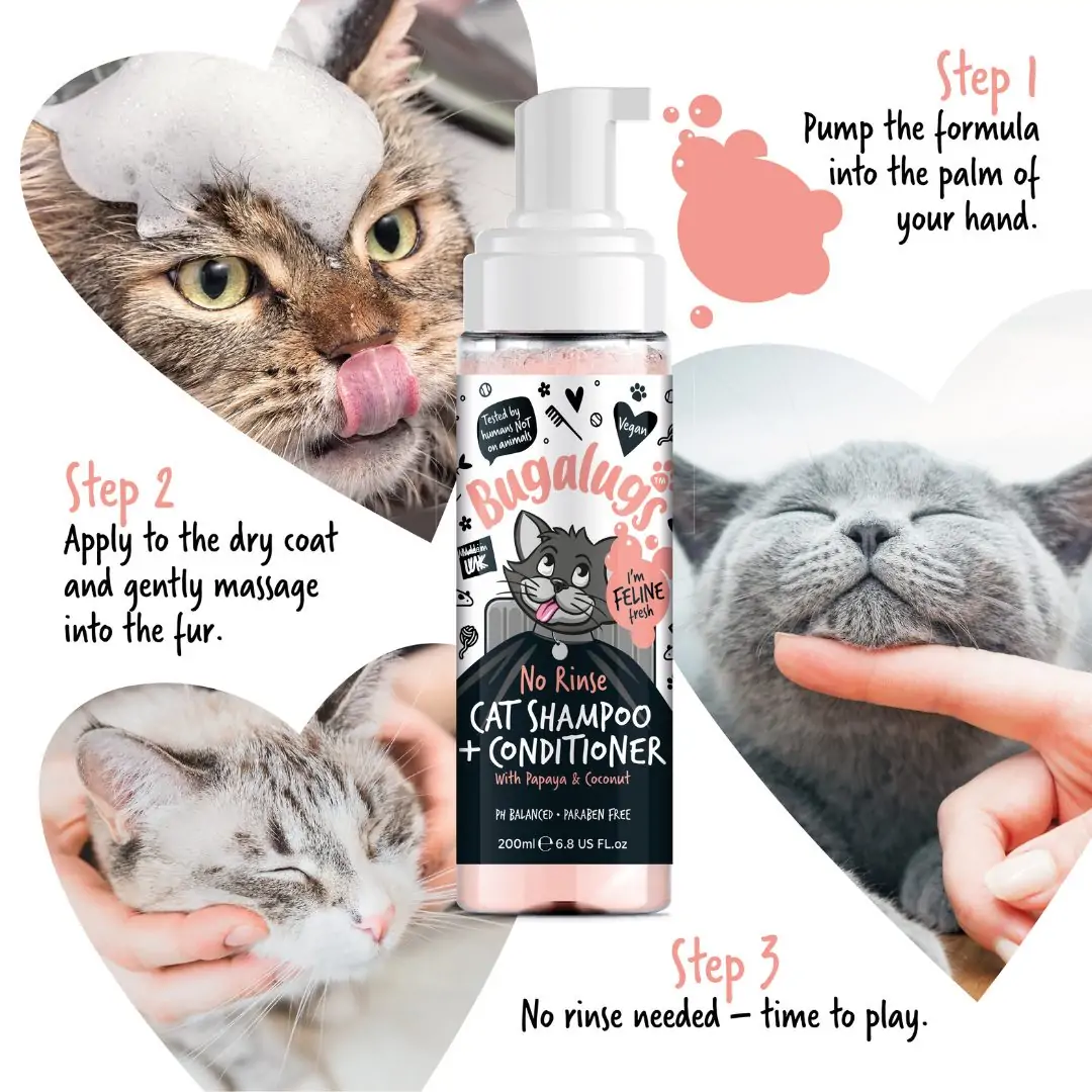 Steps for Buglugs No Rinse Shampoo and Conditioner for cats.