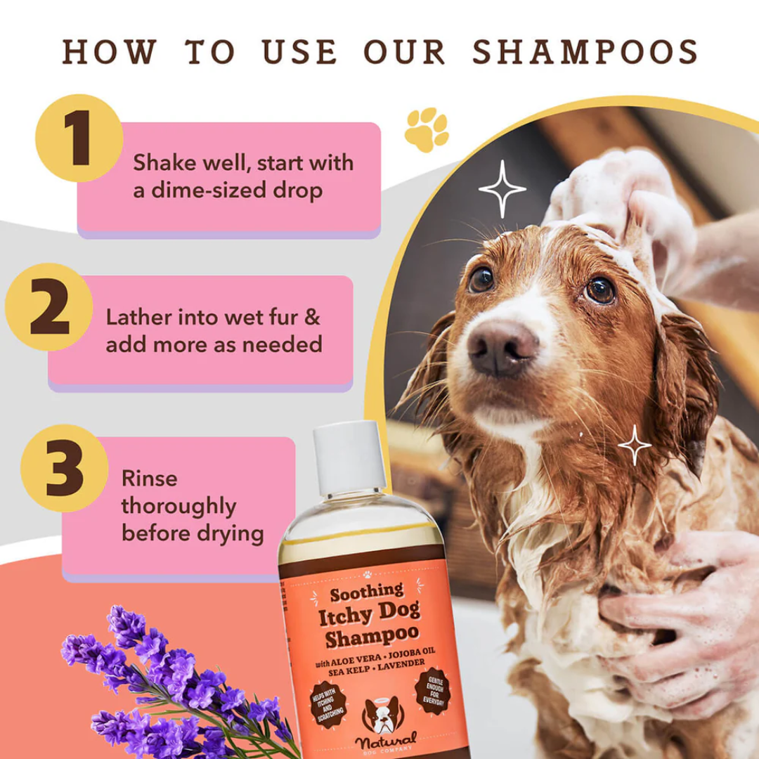 How to use the Natural Dog Company Itchy Dog Shampoo in 3 easy steps