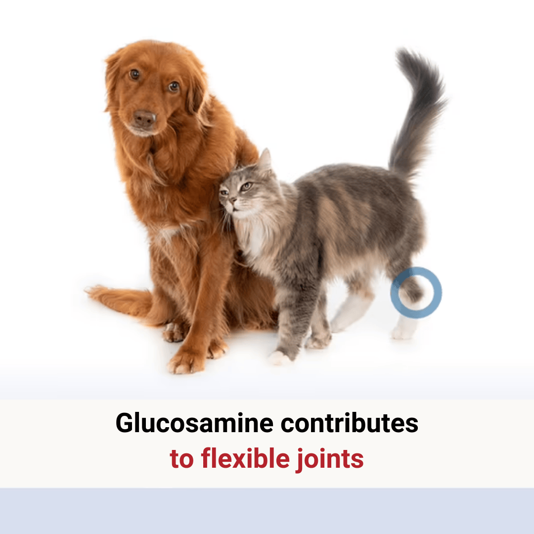 Glucosamine contributes to flexible joints.