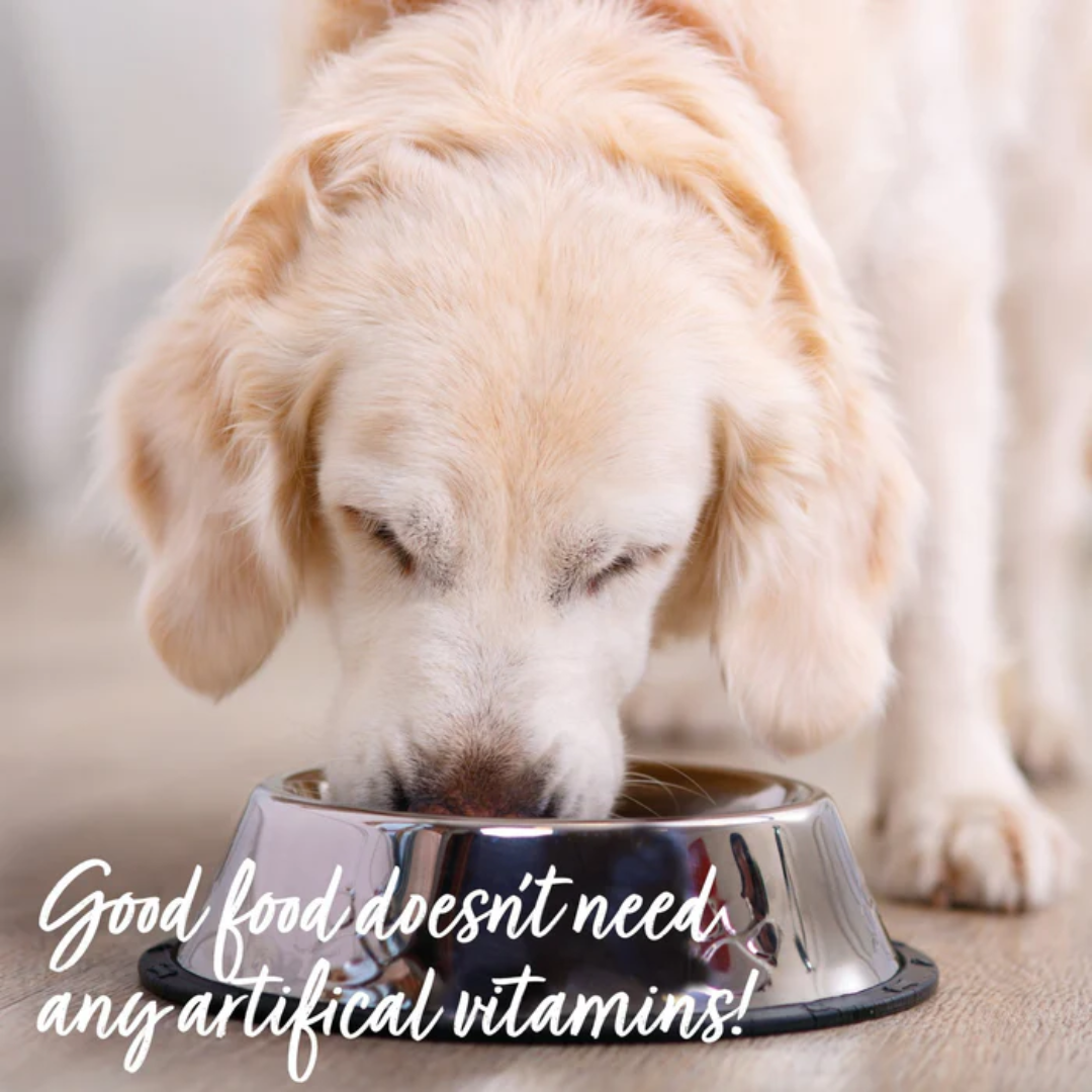 Retriever eating from a steel bowl with the text "Good food doesn't need any artificial vitamins".