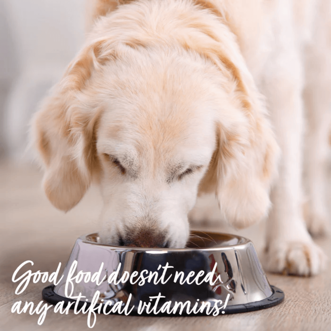 Retriever eating from a steel bowl with the text "Good food doesn't need any artificial vitamins".