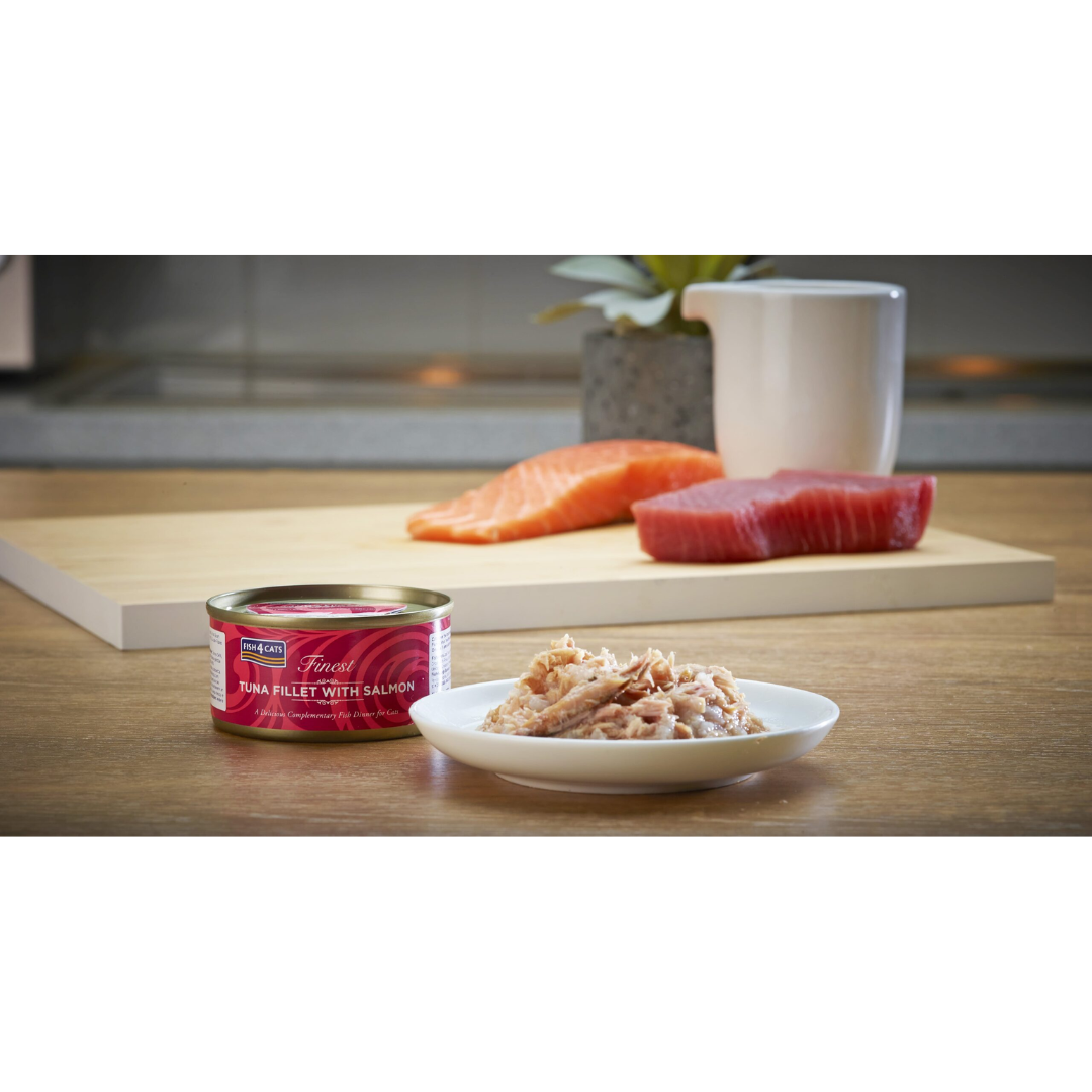The Fish 4 Cats Tuna & Salmon cat food served on a plate with a soft, fish consistency. The tin is placed beside it. In the background there is fresh tuna and salmon on display.