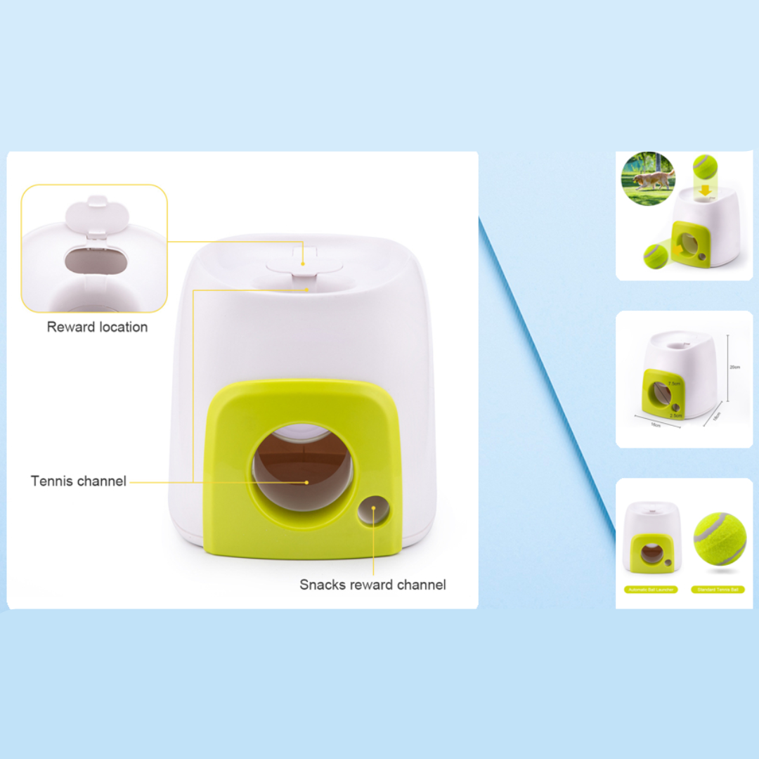 AFP Interactive Fetch and Treat