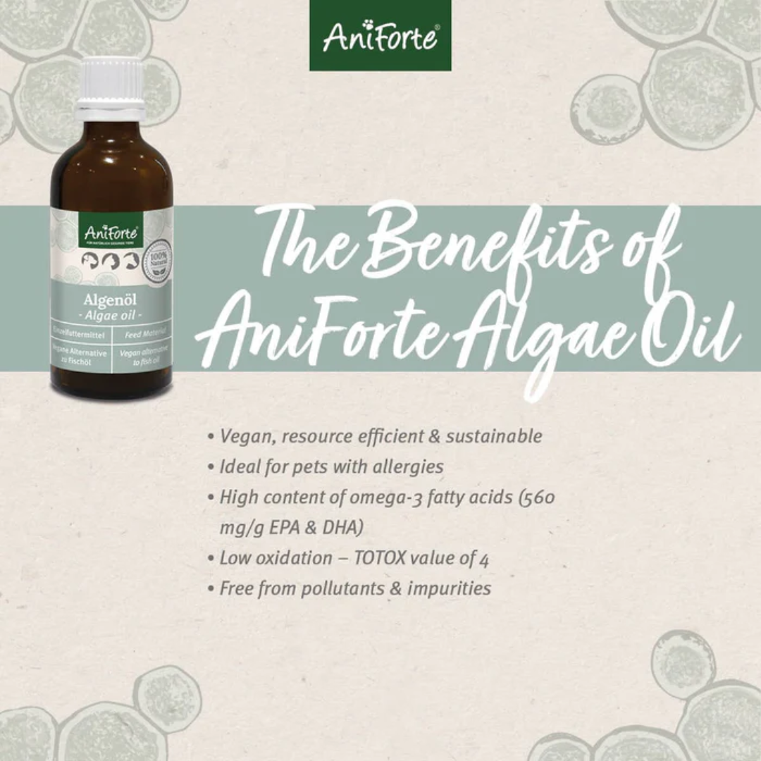 AniForte Algae Oil - Omega 3 Supplement