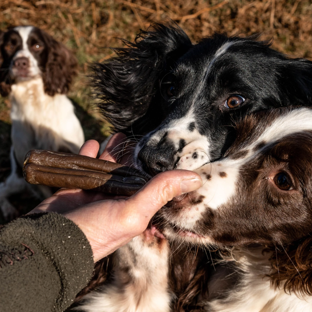 Innocent Hound Dental Support Sausages