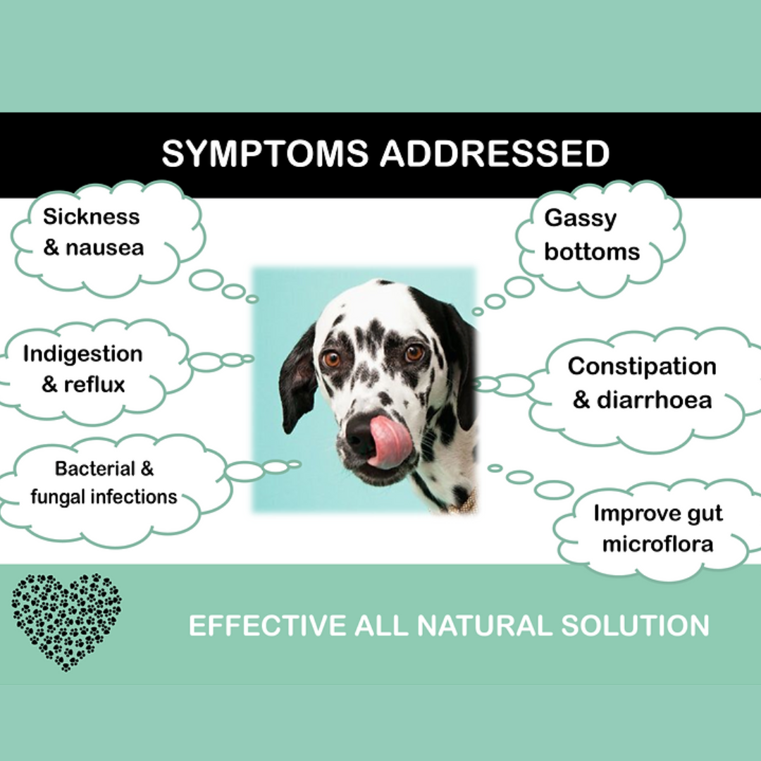 Symptoms addressed by Tummies Pro and Prebiotic for pets