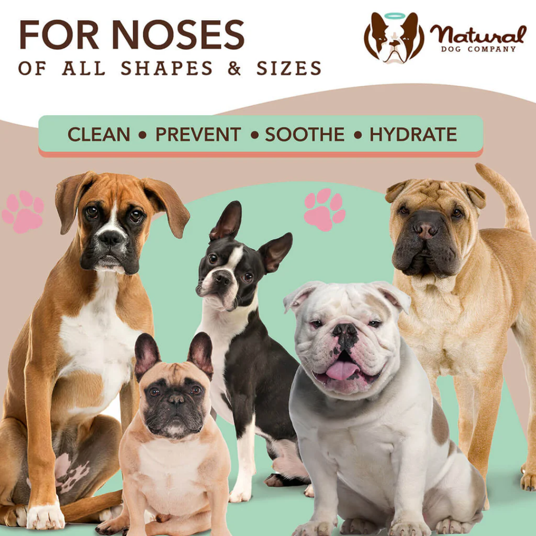 Natural Dog Company Snout Soother Wipes