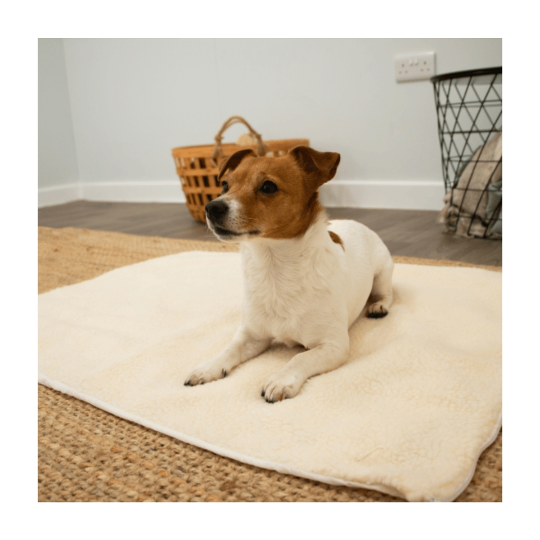 Self Heating Pet Pad