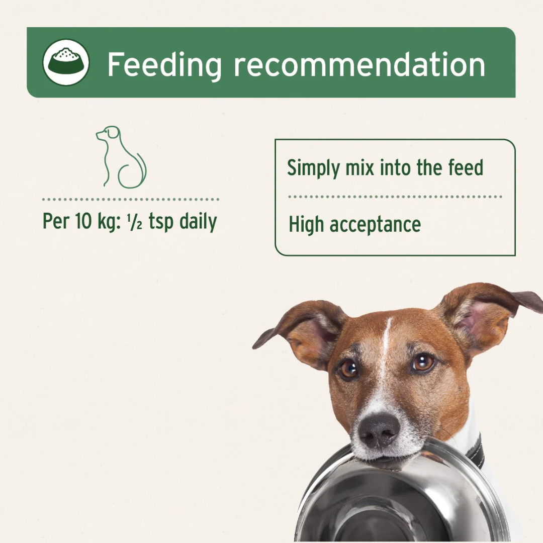 Feeding guidelines for Aniforte Premium Feed Oil. There is a dog holding their bowl in their mouth in this infographic.