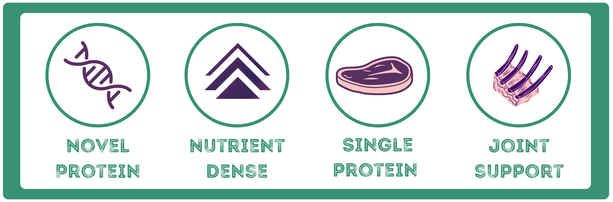 Raw Necessity Lamb 80:10:10 Complete 1kg