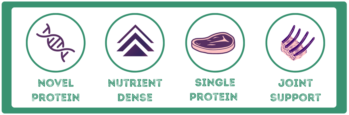 Raw Necessity Lamb 80:10:10 Complete 1kg