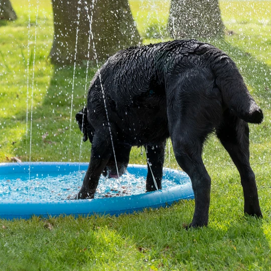 Cool Pets Splash Sprinkler
