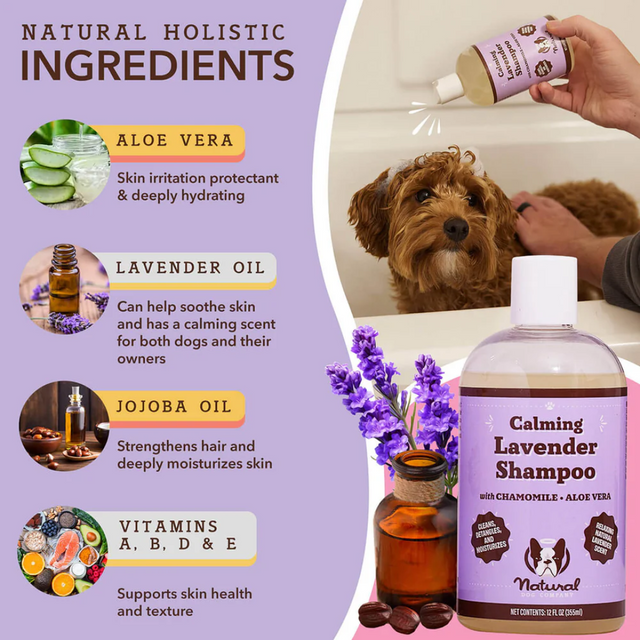 The list of ingredients and all their benefits of the Natural Dog Company Calming Lavender Shampoo