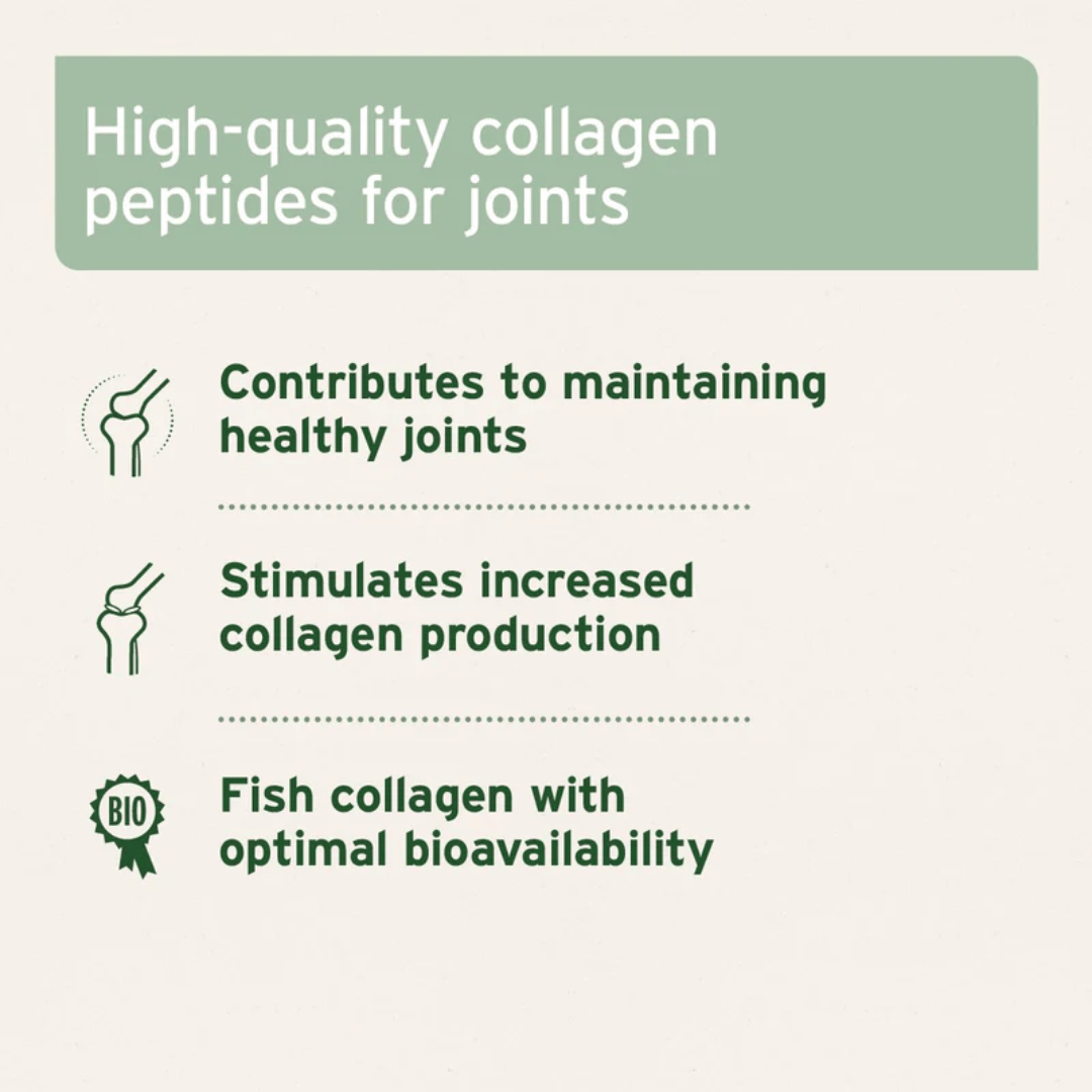 Some Key information about the Aniforte Collagen Powder