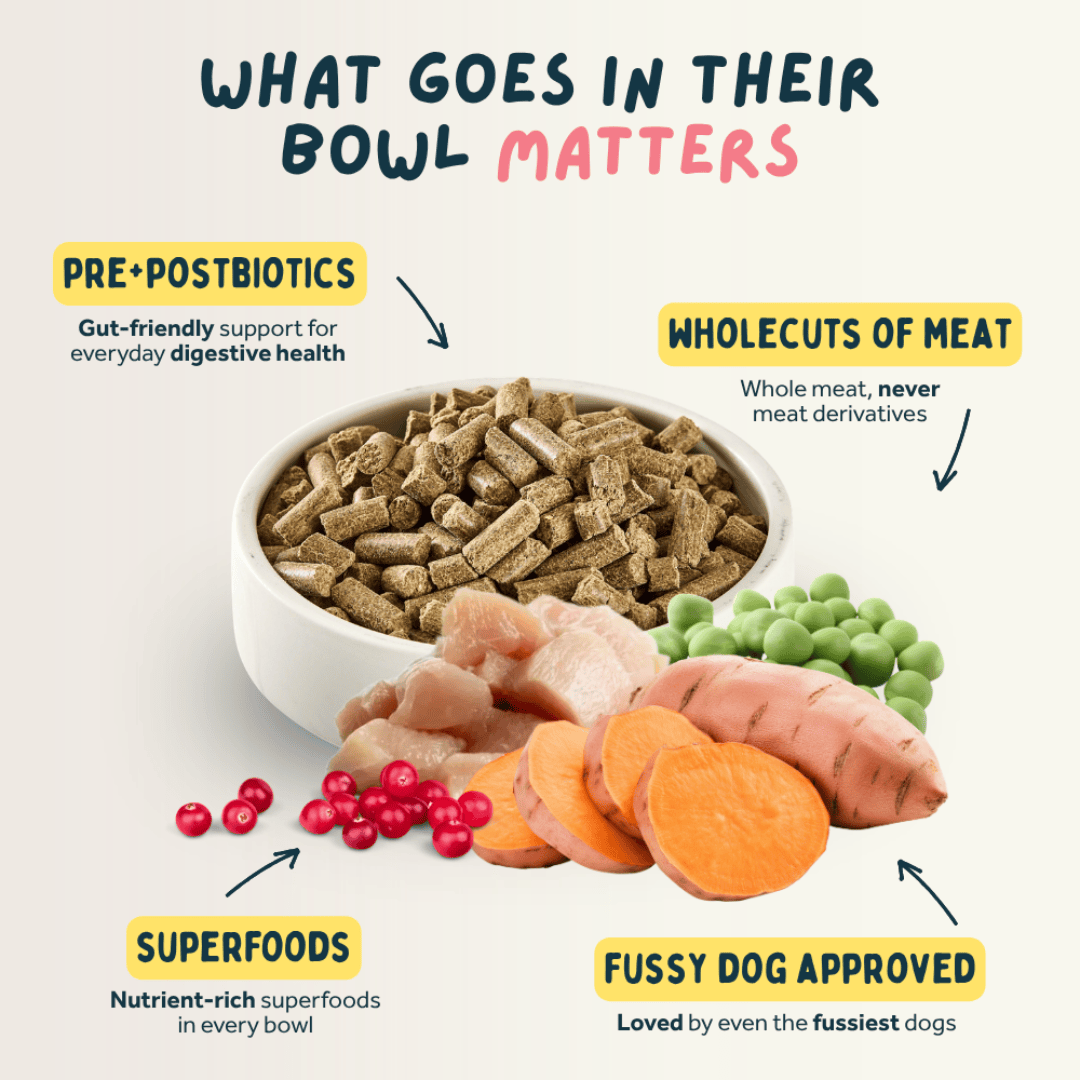Dog food bowl with ingredients labeled as pre/postbiotics, wholecuts of meat, superfoods, and fussy dog approved.