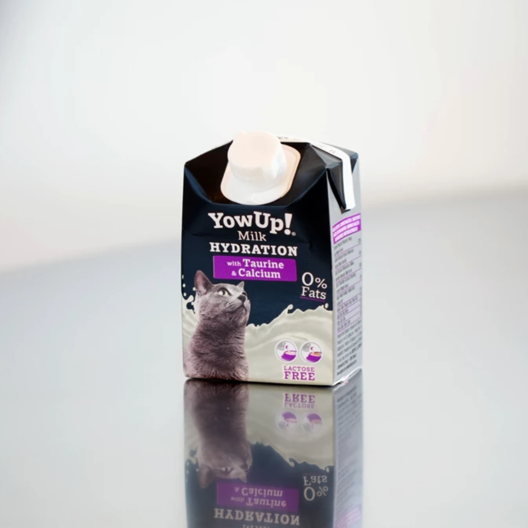 The YowUp! Cat Milk 200ml Carton on a reflective surface.