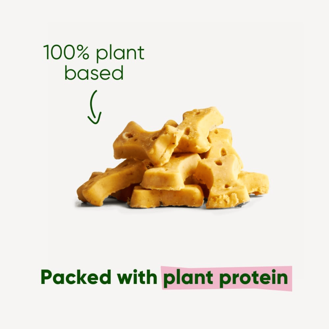 Beco Cashew with Pumpkin Seed & Carrot Dog Treats