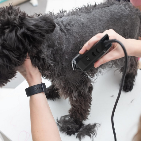 Wahl Pet Starter Dog Clipper Kit