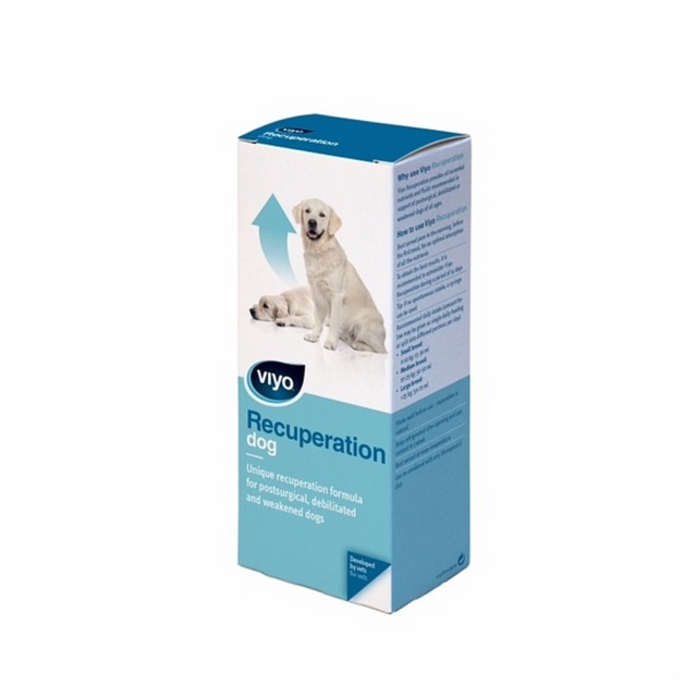 Viyo Recuperation Dog